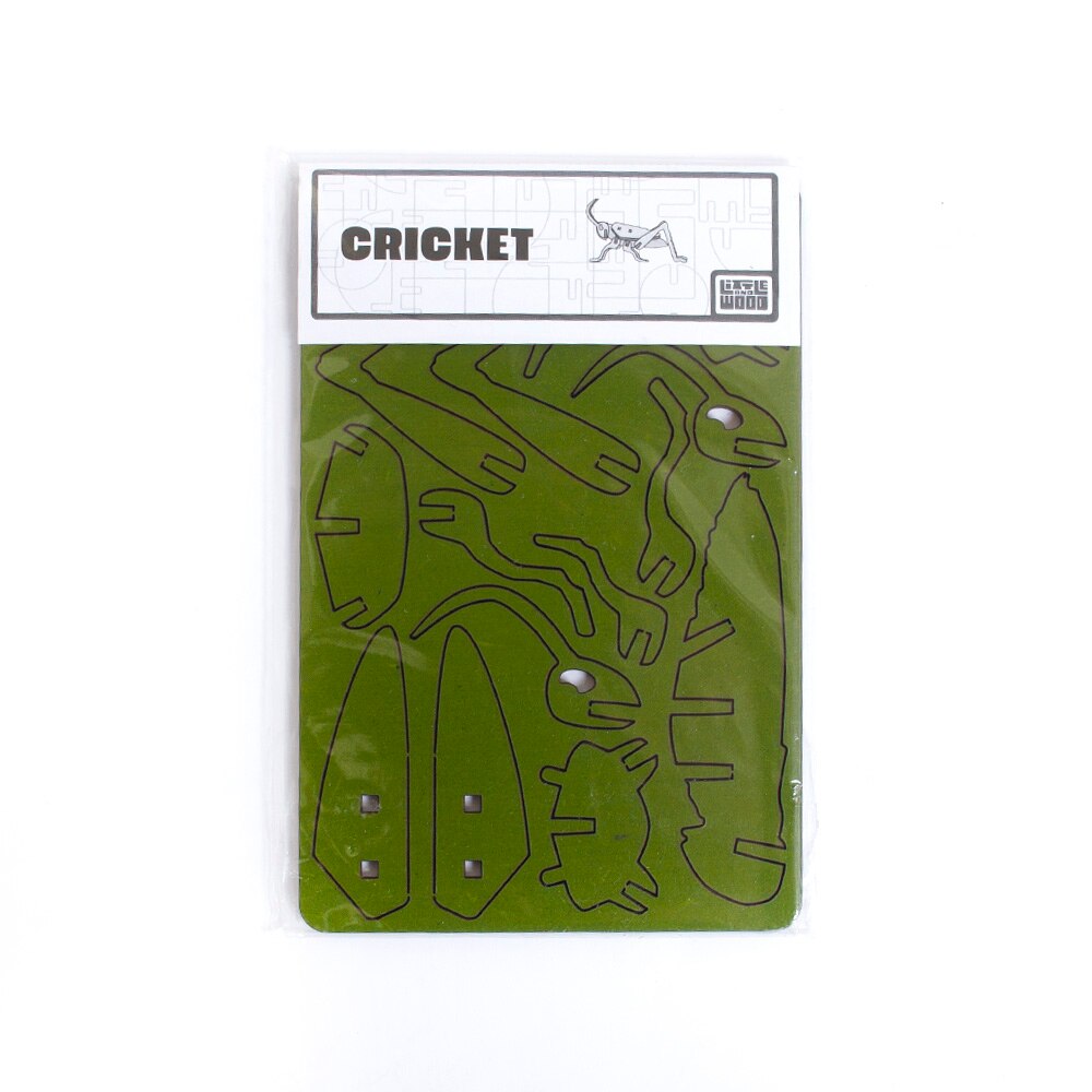 Green, Models & Kits, Gifts, Little & Wood, Model, Cricket, Small, 760522